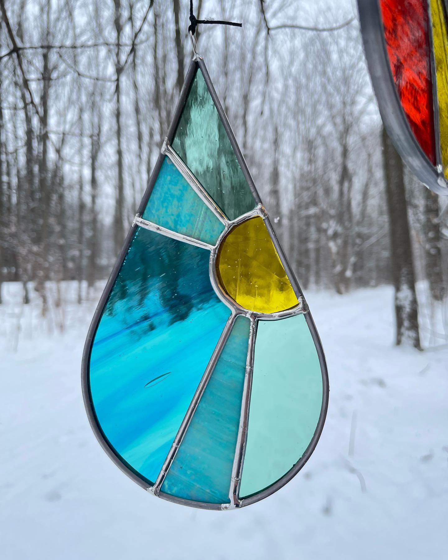 Stained Glass Sundrop