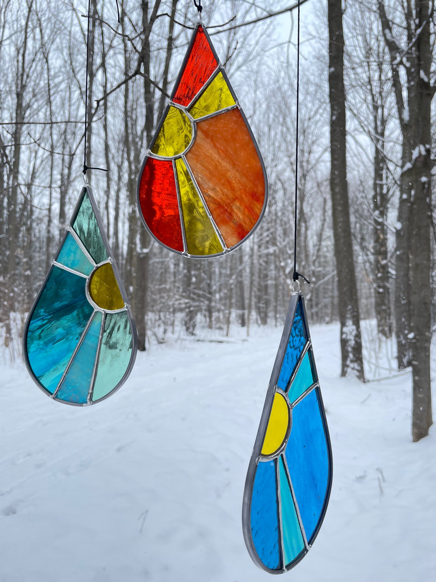 Stained Glass Sundrop