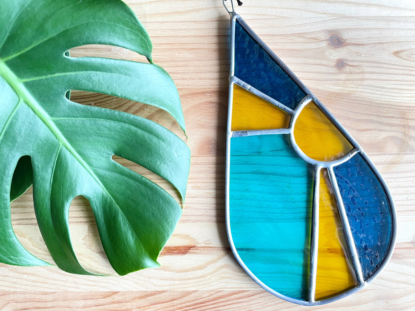 Stained Glass Sundrop