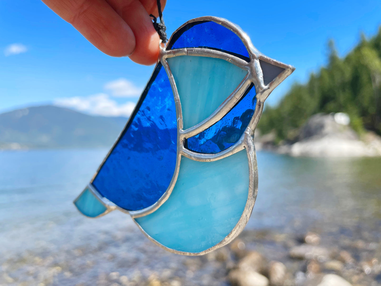 Stained Glass Bluebird